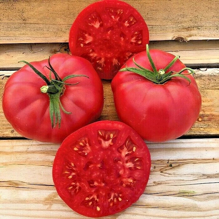 Organic Tomato Seeds - 50+ Count Pink Ponderosa Heirloom - Solanum lycopersicum for Vegetable & Container Gardening