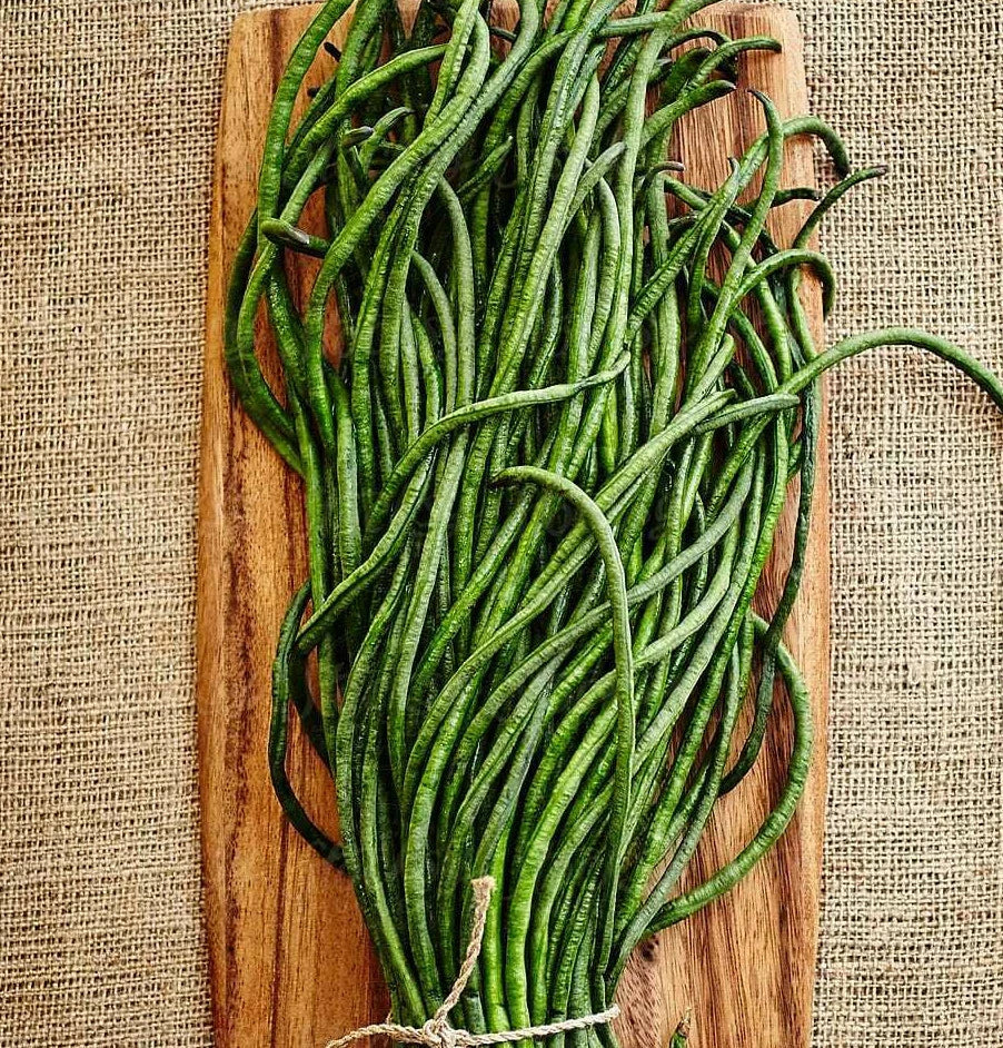 Yard Long Bean Seeds - 30 Pack - Yu Long Variety, Chinese Green Beans, Vigna unguiculata subsp. sesquipedalis, Asian Snake Pods