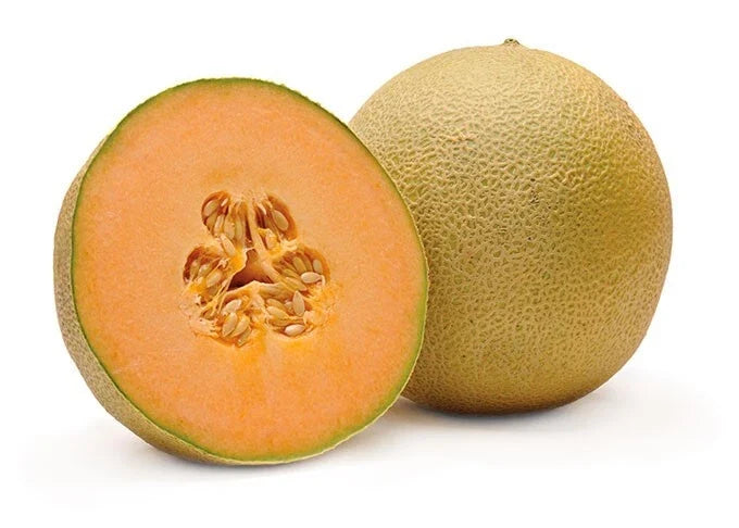Cantaloupe Melon Seeds - 5 Pack - Sweet Variety - Cucumis melo - High Germination Rate, Easy to Grow for Home Gardens