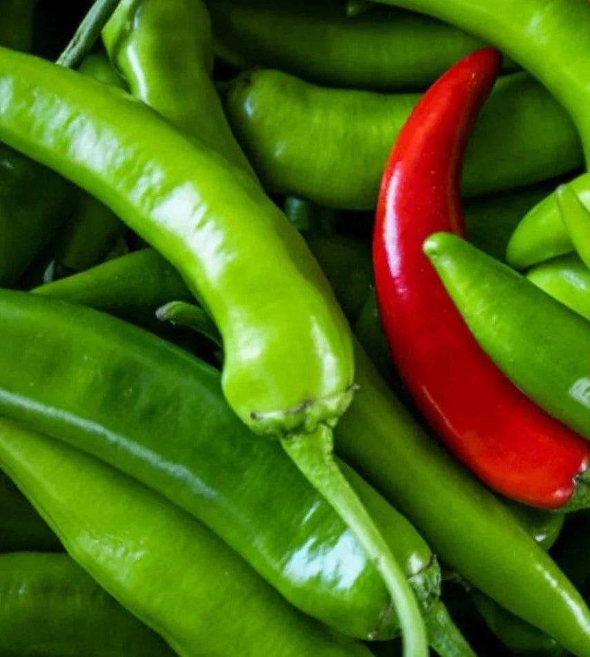Serrano Hot Pepper Seeds | 200 Non-GMO Seeds | Spicy Heirloom Variety | Capsicum annuum | Ideal for Cooking and Salsas
