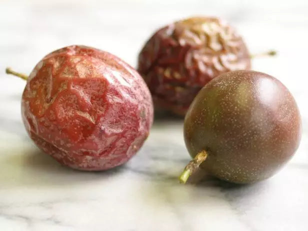 Purple Passionfruit Plant 6-12" Pesticide-Free Passiflora Edulus Possum Purple Variety - Edible Fruit Vine for Gardens