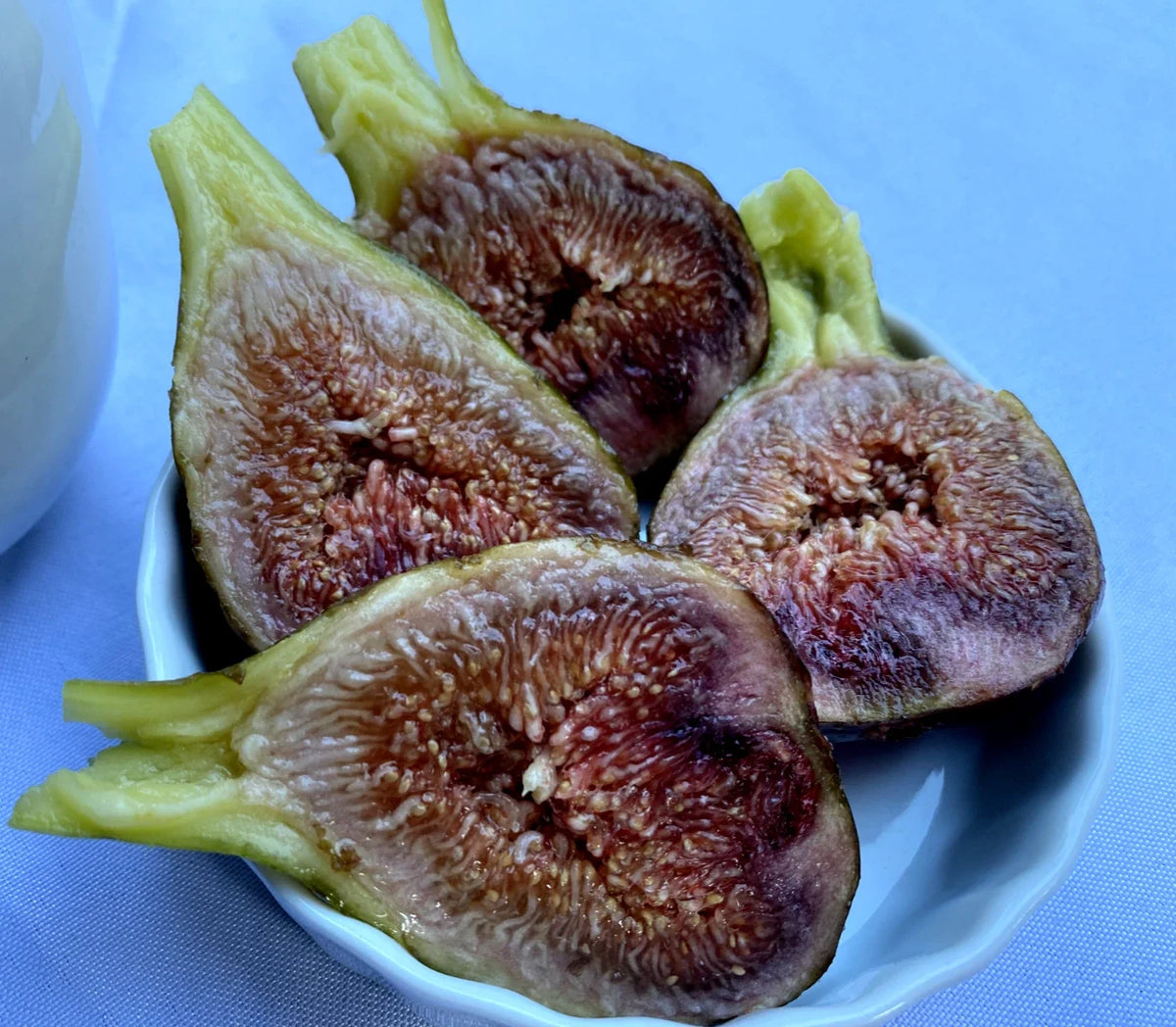 Bananchik Pink Grape Cuttings - 2 Rooting Cuttings - Vitis vinifera - Imported from Ukraine for Home Gardening