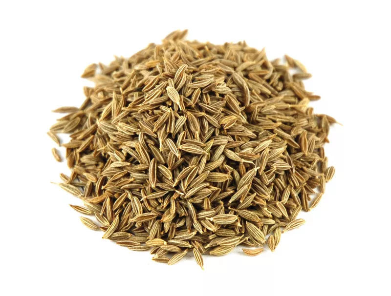 Cumin Herb Seeds 250+ Pack | Cuminum cyminum | Non-GMO Culinary Spice for Gardening