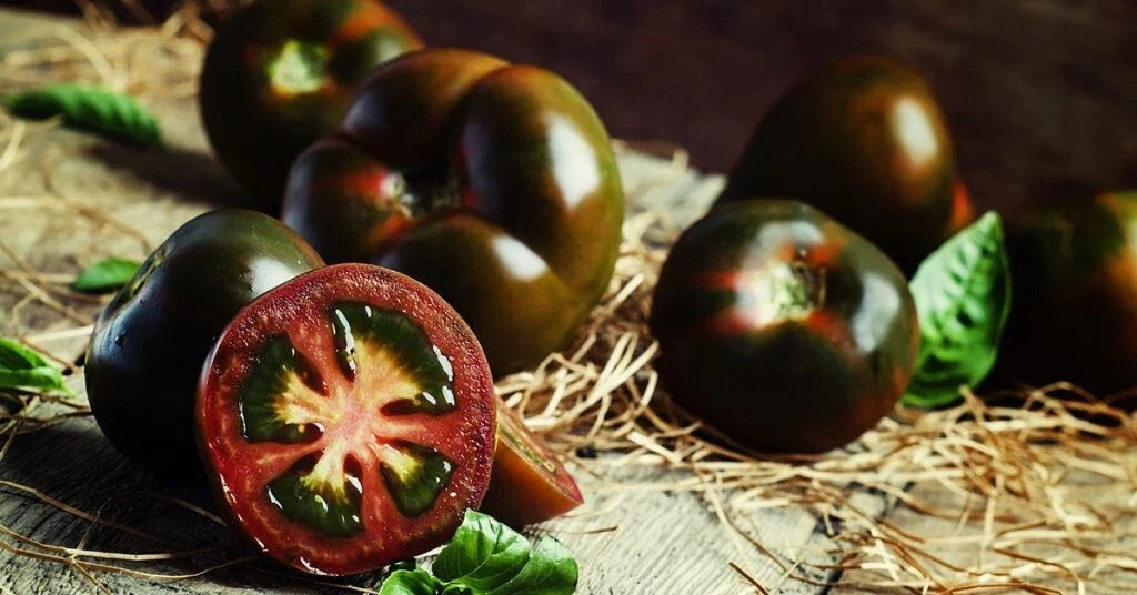 Black Truffle Tomato Seeds - 120+ Count - Heirloom Organic Non-GMO - Solanum lycopersicum