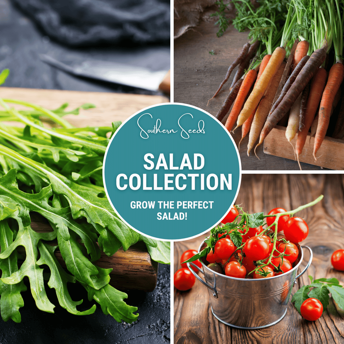 Salad Seed Collection - 6 Varieties for Home Gardening - Lettuce, Spinach, Arugula, and More - Organic Seeds