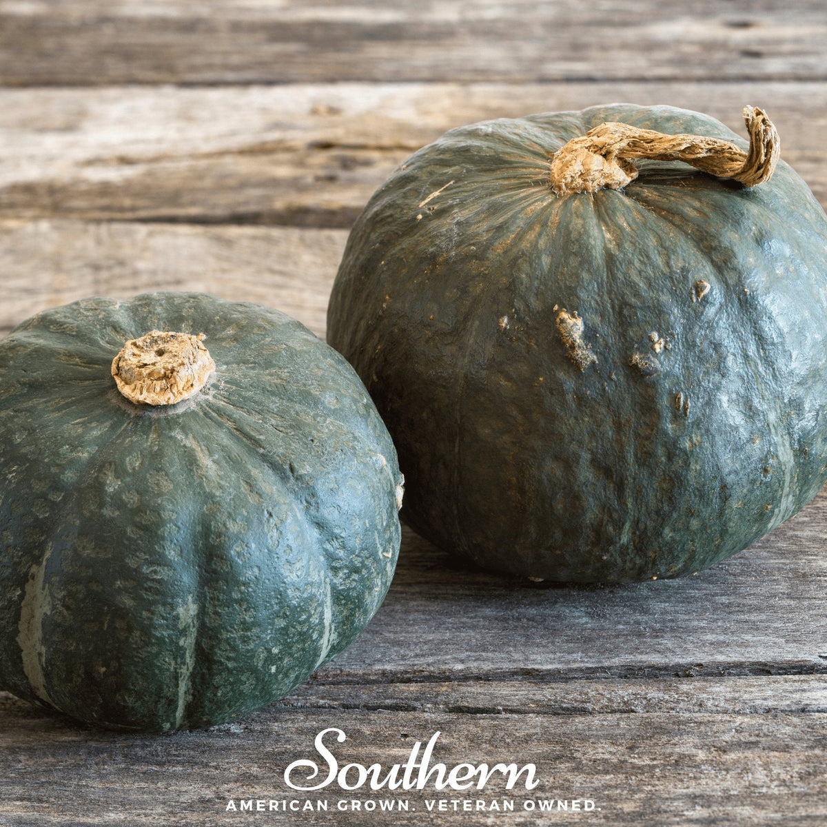 Buttercup Burgess Winter Squash Seeds - 20 Count - Cucurbita maxima