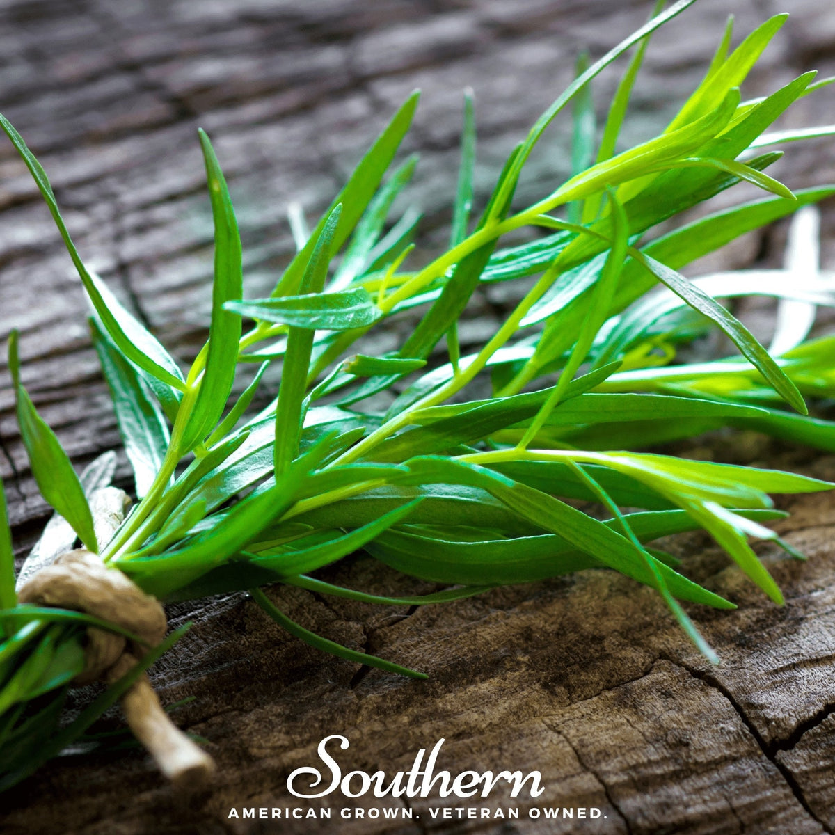 Tarragon Seeds - 300 Count - French Tarragon - Artemisia dracunculus