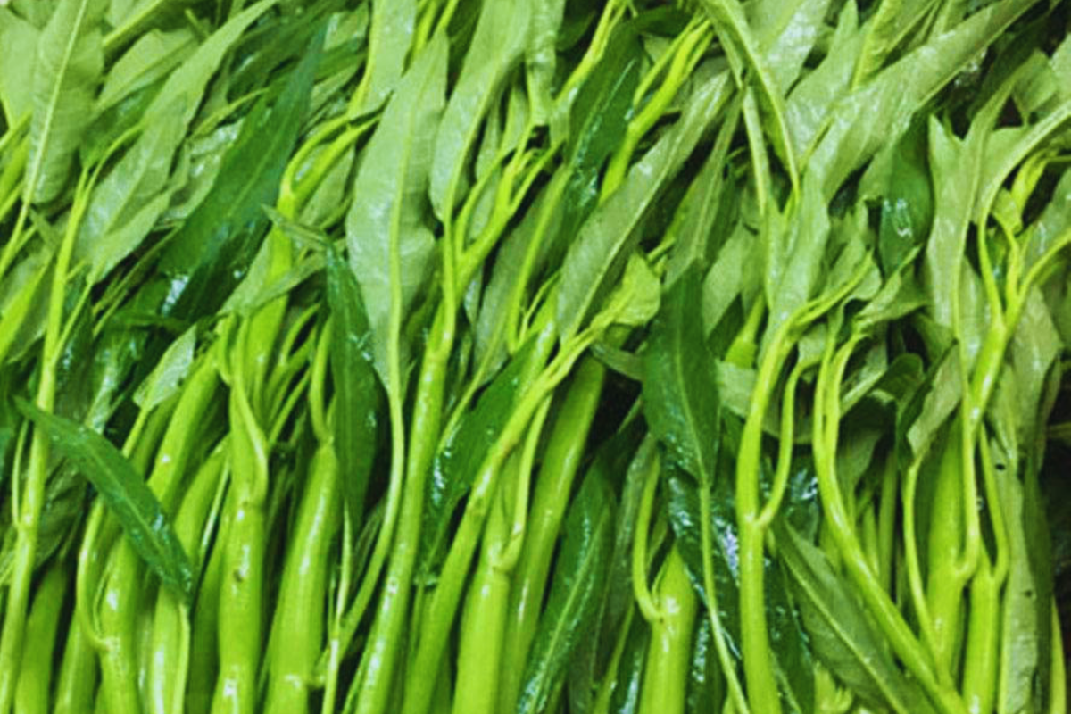 Thai Water Spinach Seeds 100g - Ching Quat, Chinese Watercress, Ong Choy, Kong Xin Cai (Ipomoea aquatica)