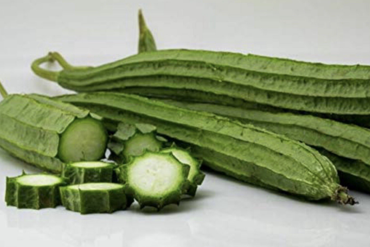 Ridged Sponge Gourd Seeds - 20 Pack - Chinese Okra Angled Luffa Gourd - Luffa acutangula - Easy to Grow, Versatile Cooking Use