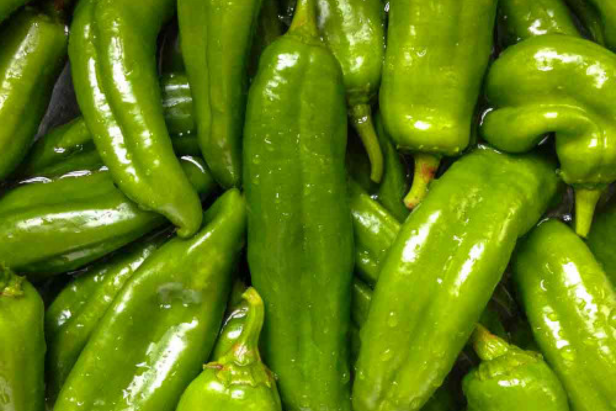 250mg Sandia Hot Pepper Seeds | Medium-Hot Chile, Heirloom, Non-GMO, Capsicum annuum for Roasting & Salsas