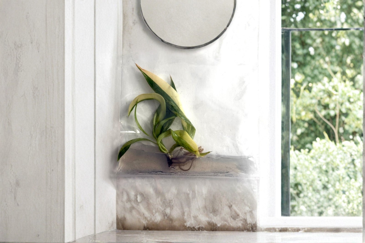 Philodendron Caramel Marble Plant - 3 Inch Variegated Tropical Houseplant - Philodendron Hybrid Cultivar