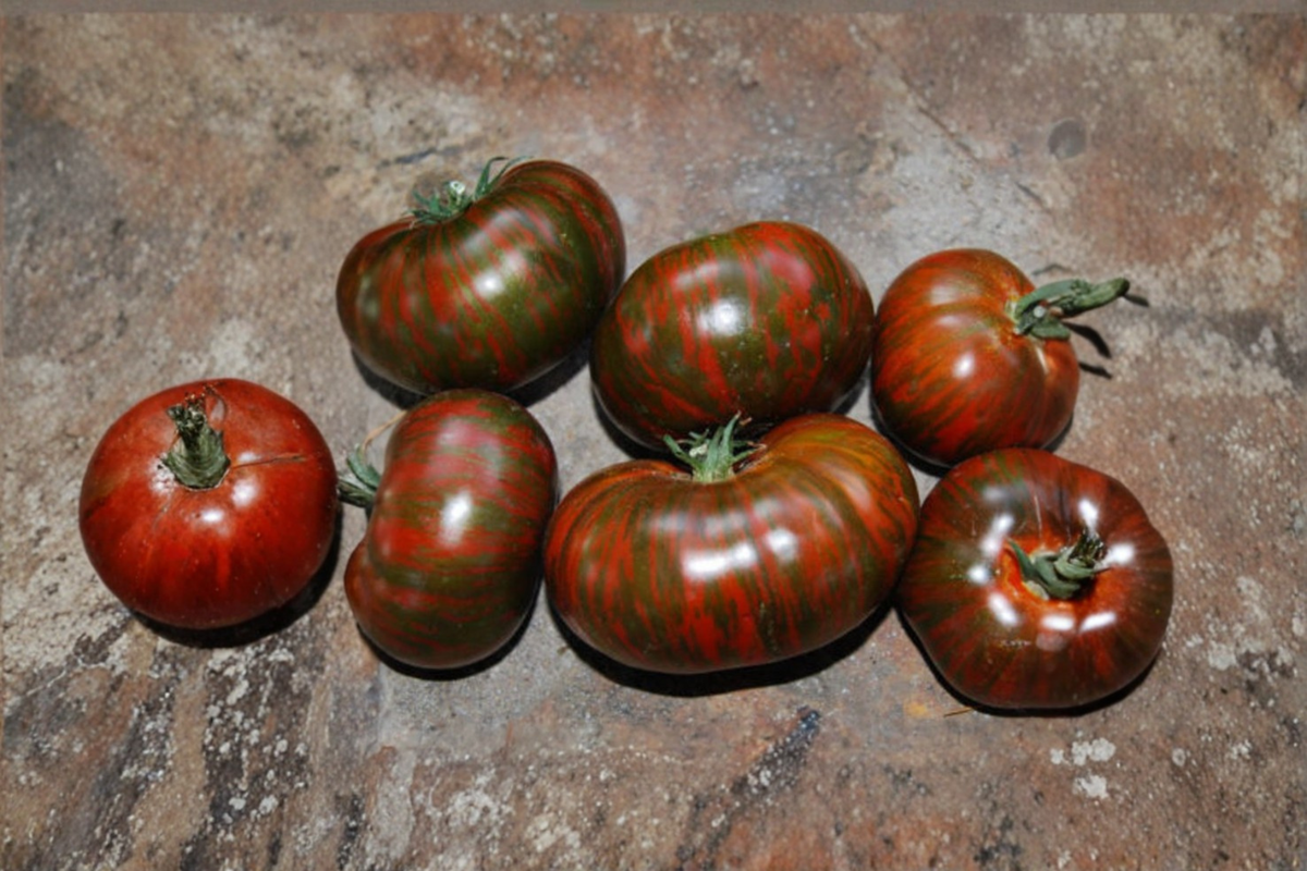 Chocolate Stripe Tomato Seeds - 10 Mahogany Heirloom Seeds for Vegetable Garden - Solanum lycopersicum