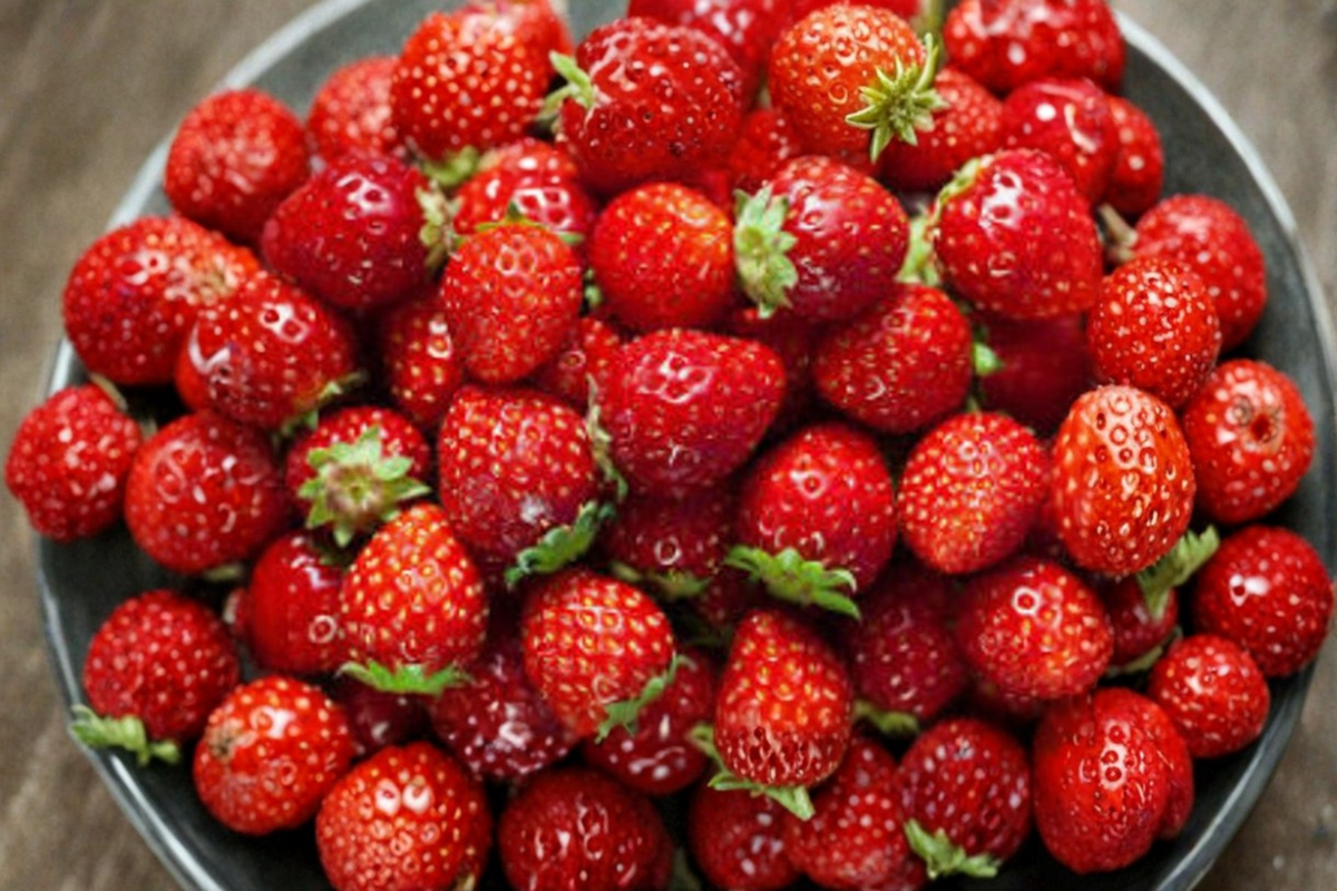 Dwarf Strawberry Seeds 200 Pack - Compact Edible Fruit Plant Seeds (Fragaria × ananassa) for Indoor/Outdoor Gardens