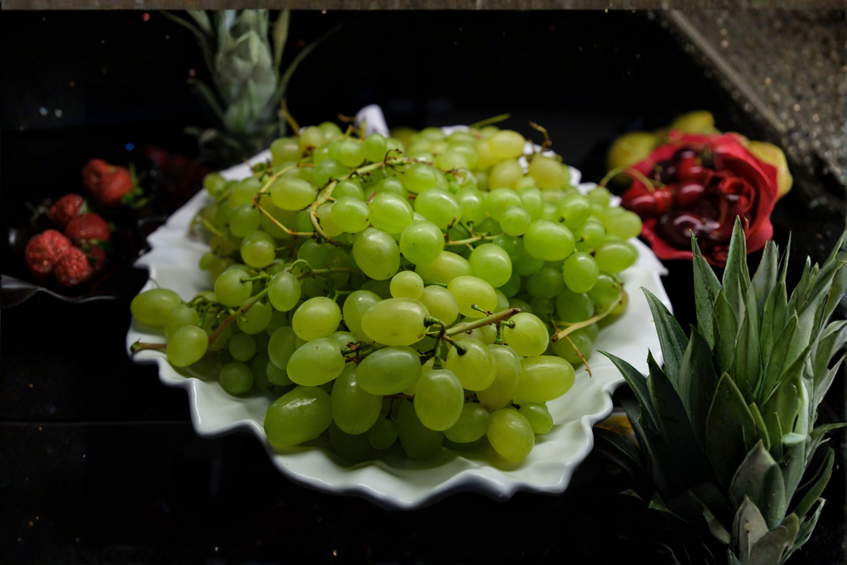 3 Green Thompson Seedless Grape Vine Cuttings - 6-Inch Unrooted - Vitis vinifera - Ideal for Propagation and Home Gardens