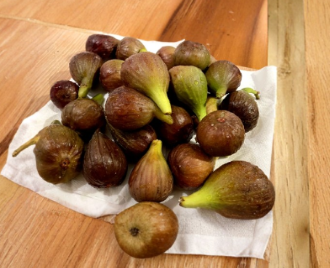 Violetta Fig Tree Cuttings Set of 4 Unrooted Cold Hardy Fig Propagation for Rooting - Ficus carica 'Violetta'