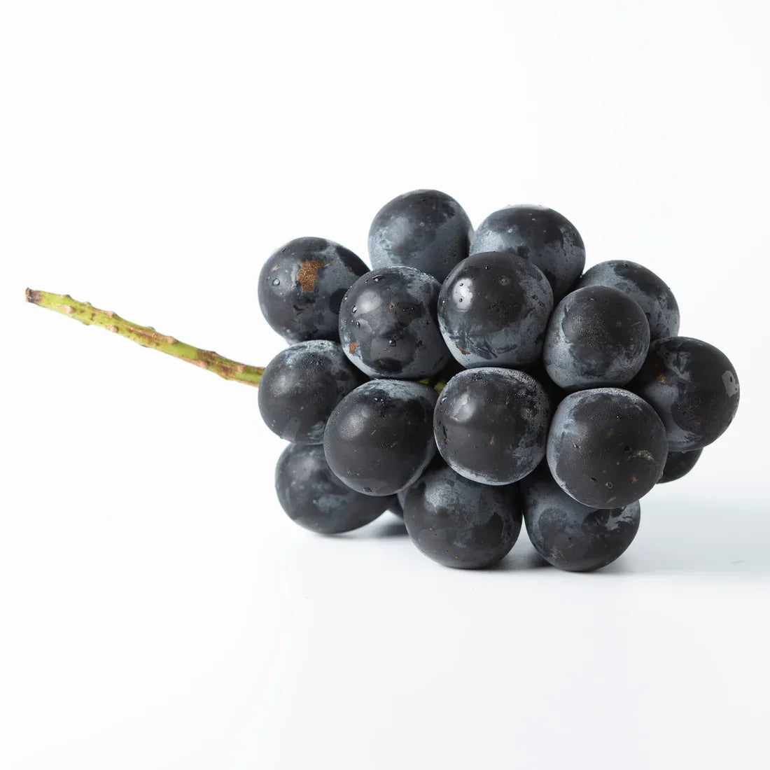 6pcs Kyoho Grape Cuttings - Unrooted Vitis vinifera × Vitis labrusca, Sweet Juicy Table Grapes for Home Gardening