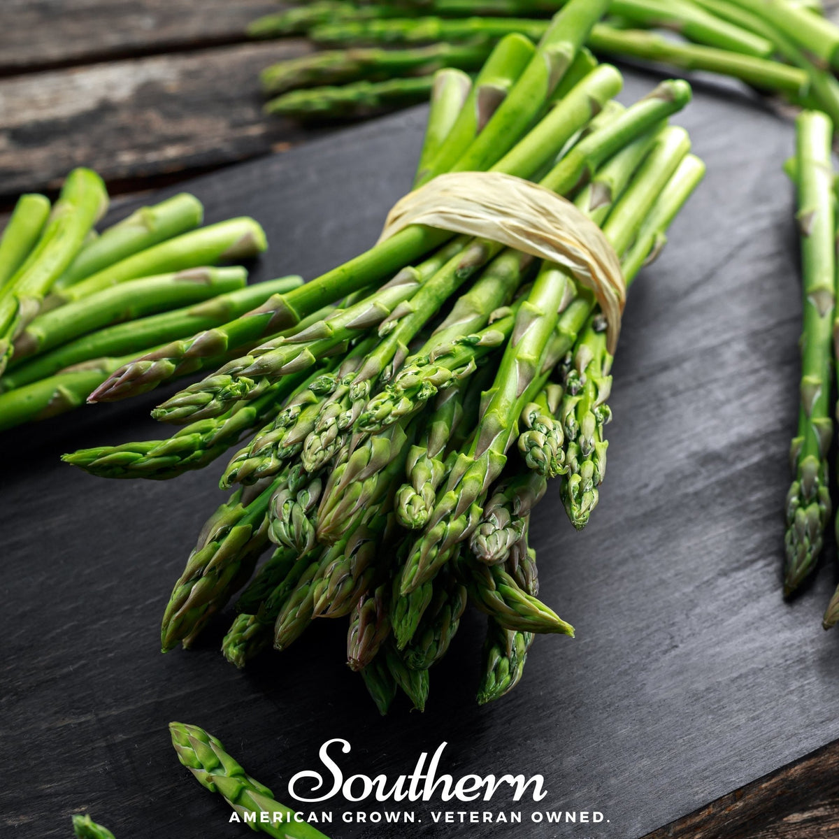 UC157 F2 Asparagus Seeds - 50 Pack - High Yield Variety - Asparagus officinalis