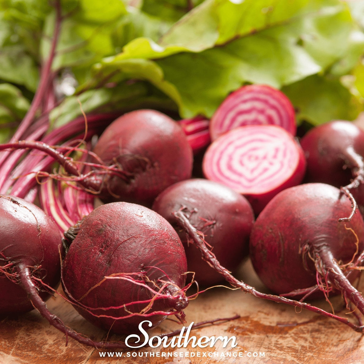 Chioggia Beet Seeds – 100 Count – Colorful Italian Beet – Beta vulgaris