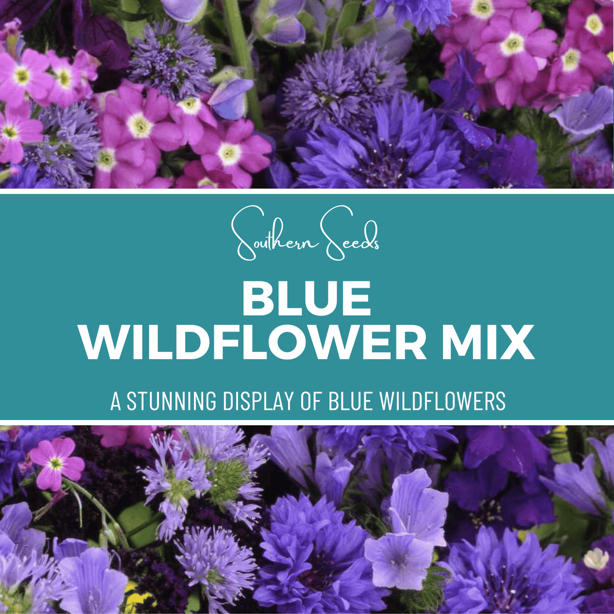 Blue Wildflower Seed Mix - 100 Seeds - Native Wildflowers for Gardens - Mix of Blue Varieties - (Various Scientific Names)