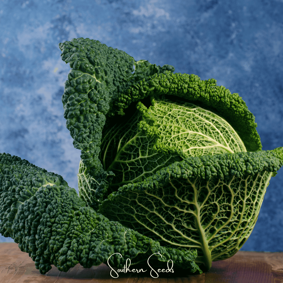 Savoy Cabbage Seeds - 100 Premium Seeds - Brassica oleracea var. sabauda - Heirloom Vegetable Garden Seeds