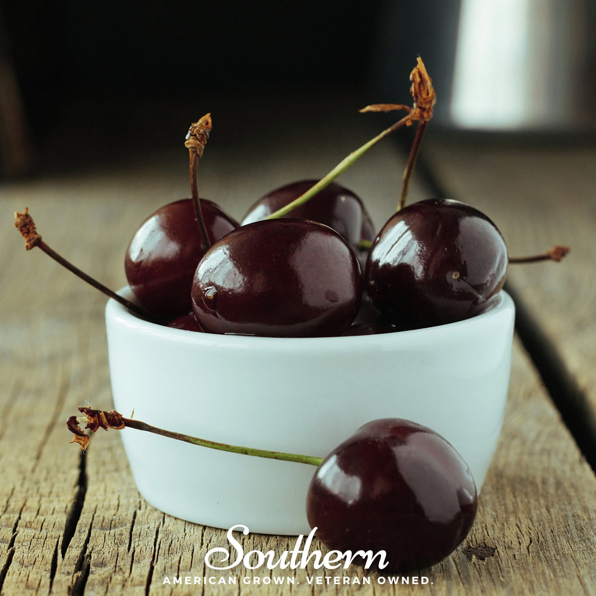 Black Cherry Seeds - 15 Pack - Prunus serotina - Organic Fruit Seeds for Planting