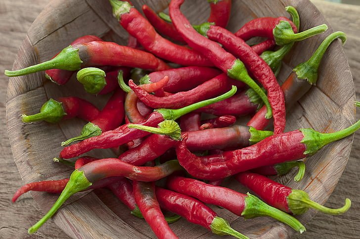 3 Thai Red Dragon Chili Plants - 75 Days Old - Capsicum annuum - Hot Pepper for Edible Gardens and Containers