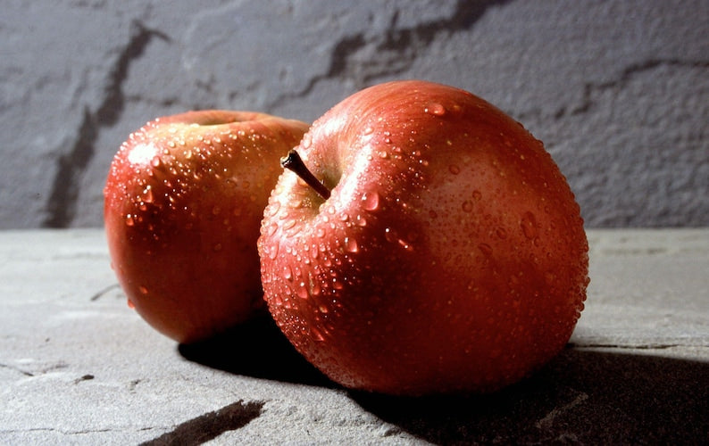 Fuji Apple Tree 3Gal Pot Low Chill Sweet & Crisp Malus domestica Ideal for USDA Zones 4-9