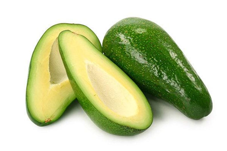 Fuerte Avocado Tree - 1 ft Grafted Plant in 6" Pot - Persea americana - Indoor/Outdoor Gardening
