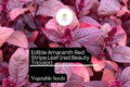 Red Beauty Amaranth Seeds | Edible Heirloom Vegetable, Microgreens