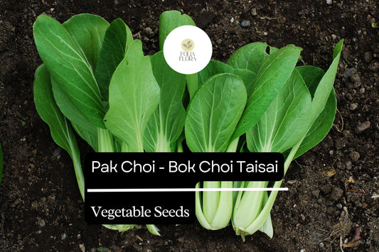 Pak Choi Seeds | Heirloom Taisai Bok Choi, Asian Greens