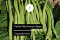 5g Petite Filet French Bean Seeds Phaseolus vulgaris | Gourmet Stringless Haricots Verts for Planting