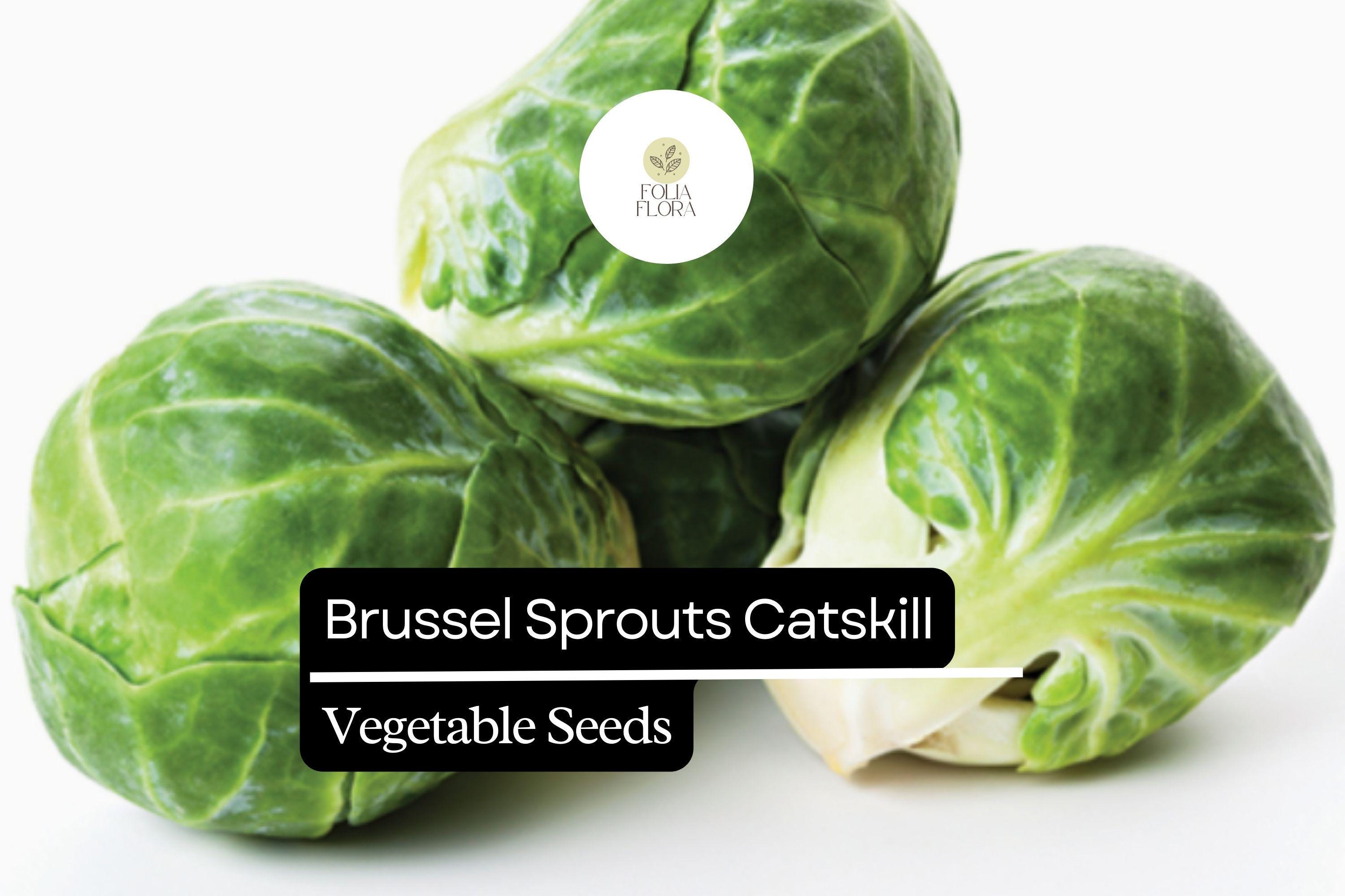 Catskill Brussel Sprout Seeds | 1g Heirloom, Cool-Season Crop