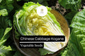 Kogane Napa Cabbage Seeds | 500mg Sweet & Crisp Brassica rapa