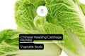 Michihli Napa Cabbage Seeds | 500mg Sweet, Crisp Heirloom