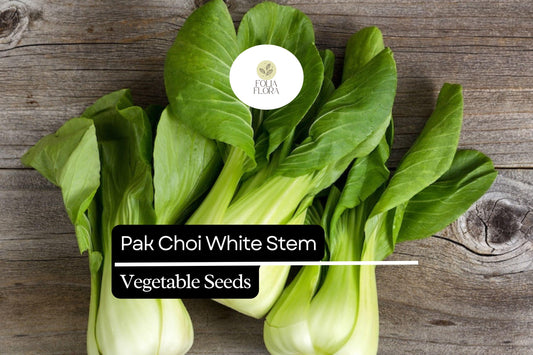 Pak Choi White Stem Seeds | Heirloom, Non-GMO Asian Greens