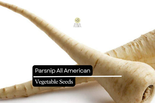 Parsnip All American Seeds | Heirloom, Non-GMO (1g)
