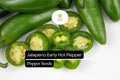 Early JalapeÃ±o Pepper Seeds | Non-GMO, Mild-Medium Heat (300mg)
