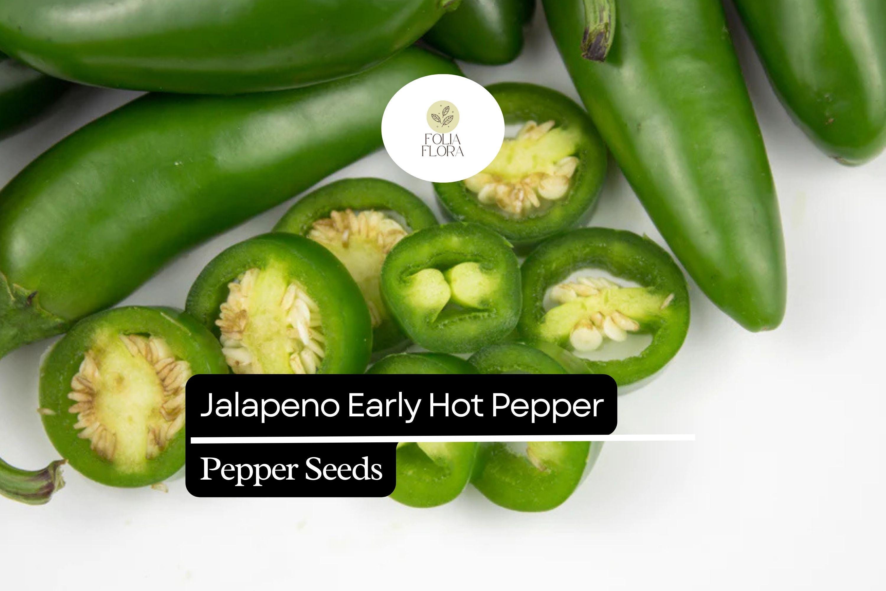 Early JalapeÃ±o Pepper Seeds | Non-GMO, Mild-Medium Heat (300mg)