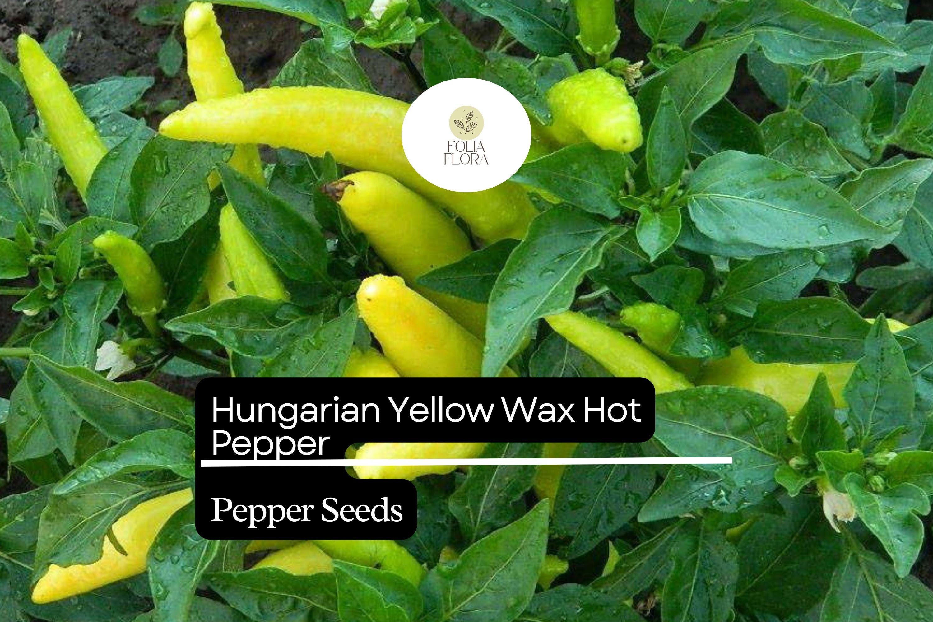 Hungarian Yellow Wax Pepper Seeds | Non-GMO, Pickling Peppers