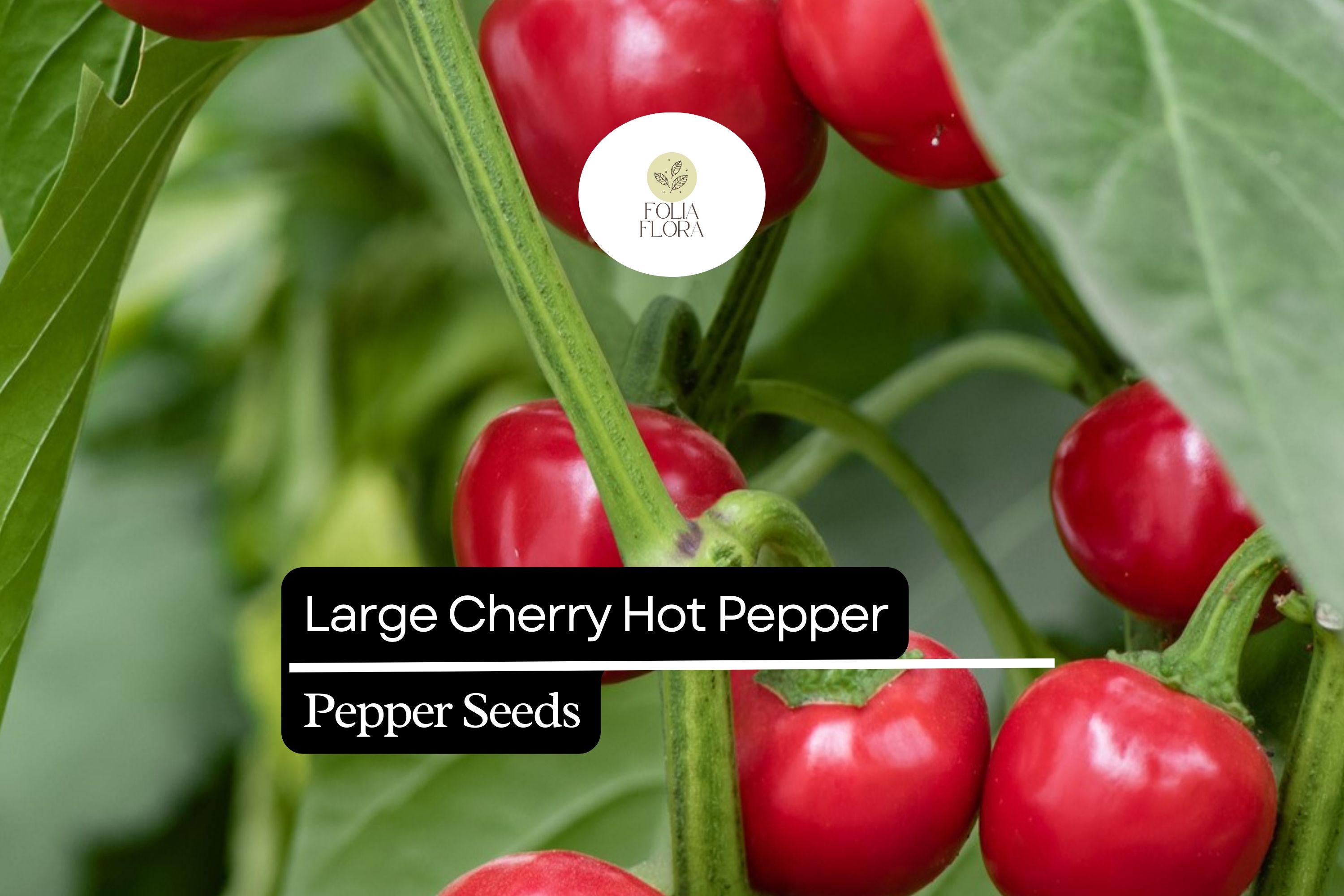 Large Cherry Hot Pepper Seeds | Mild Heat, Pickling, Garnishing