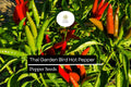 Thai Garden Bird Hot Pepper Seeds | Very Hot Non-GMO Chili Seeds | Capsicum annuum for Thai Cuisine & Spicy Sauces