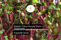 Radish Triton Purple Stem Seeds (1g) | Edible Podded, Non-GMO