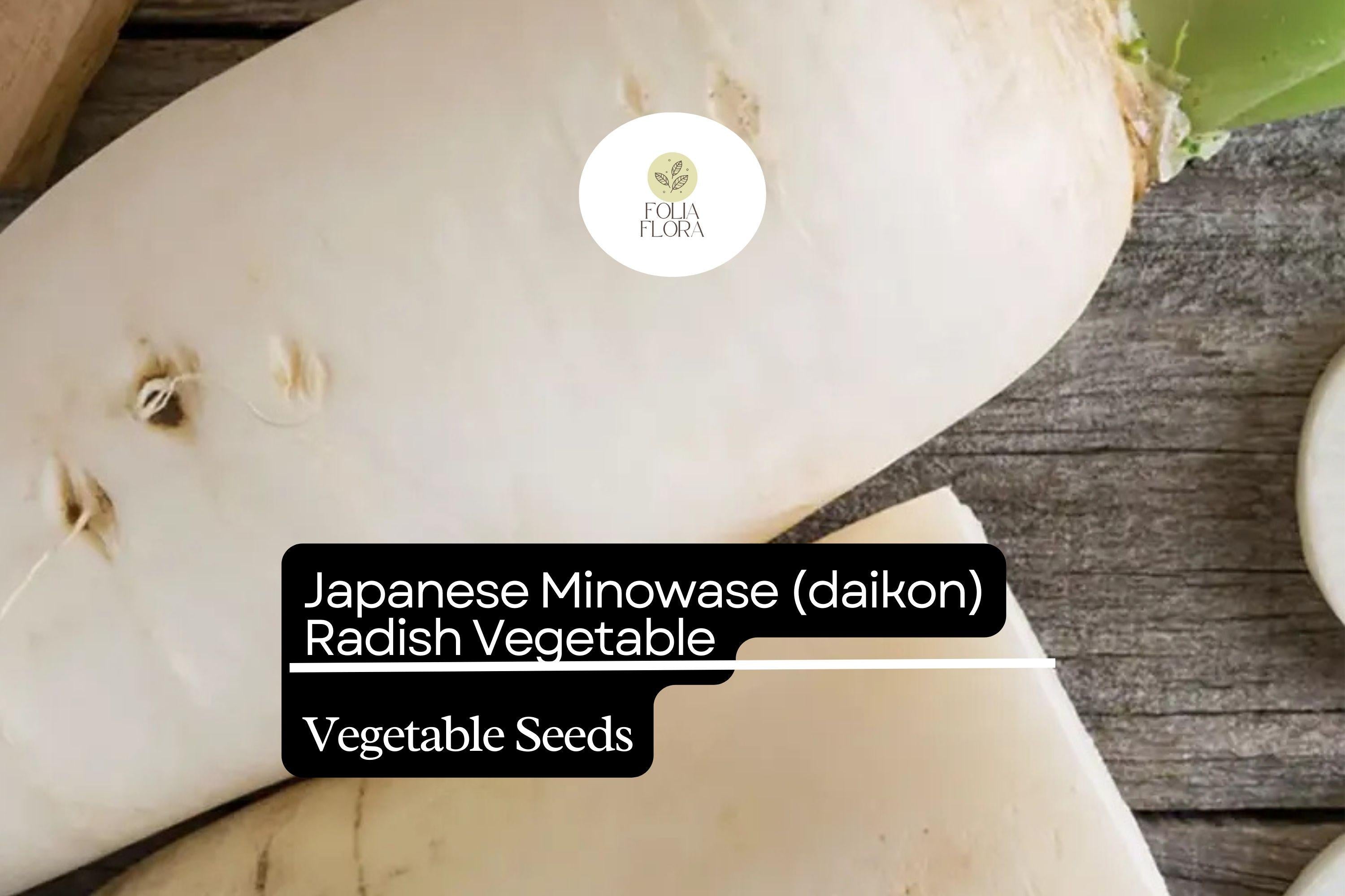 Minowase Daikon Radish Seeds | 1g, Heirloom, Non-GMO