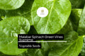Malabar Spinach Seeds | Heat-Tolerant, Climbing Green Vines