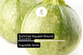 Round Zucchini Seeds | Non-GMO Summer Squash (1g)