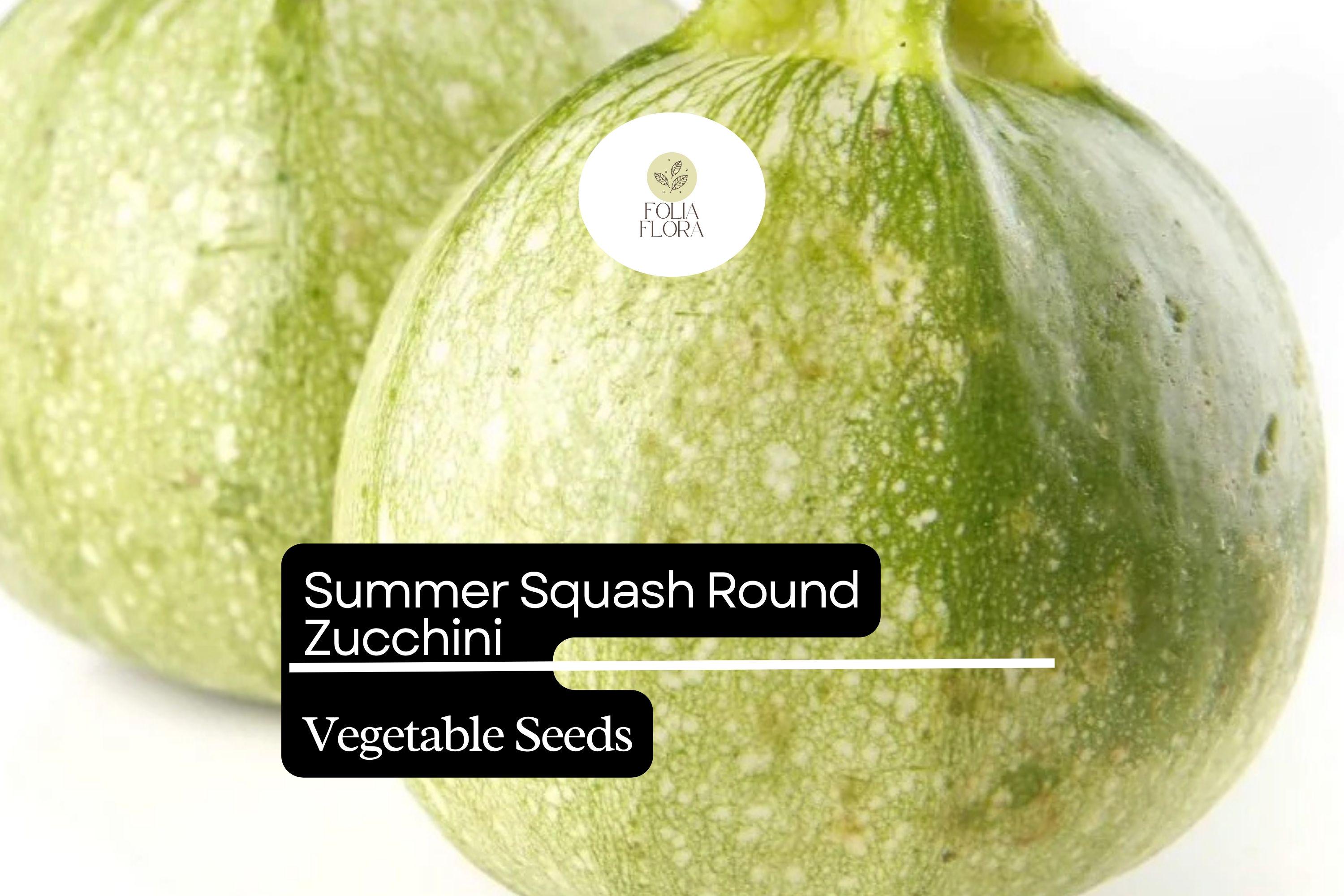 Round Zucchini Seeds | Non-GMO Summer Squash (1g)