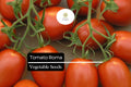 Roma Tomato Seeds 100mg | Heirloom, Non-GMO for Sauces