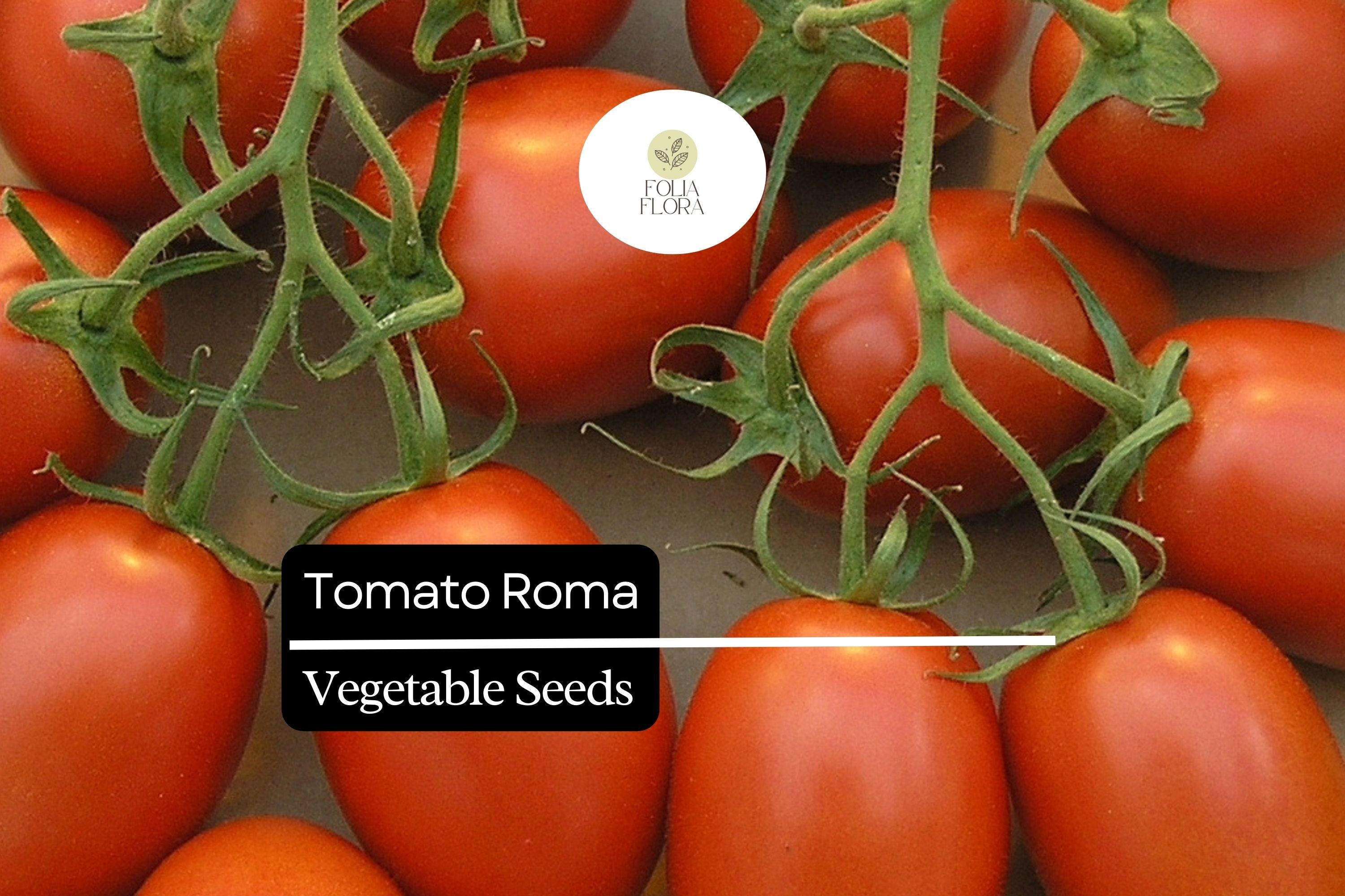 Roma Tomato Seeds 100mg | Heirloom, Non-GMO for Sauces