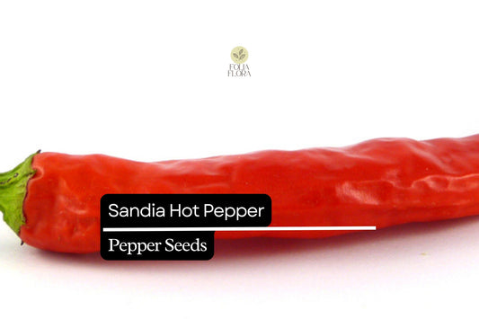 Sandia Hot Pepper Seeds | Heirloom, Medium-Hot Chile