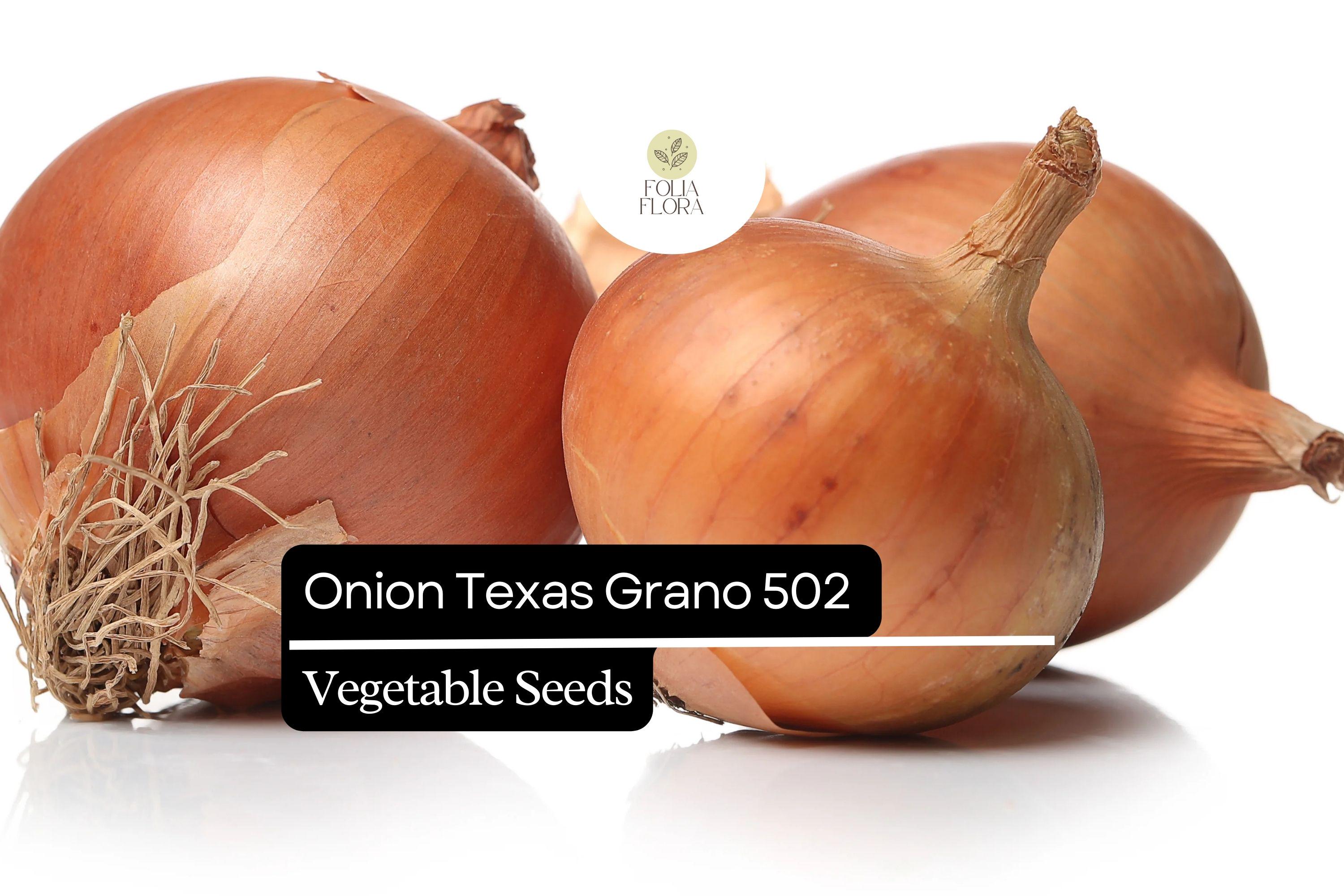 Texas Grano 502 Onion Seeds (250mg) | Sweet Globe Onion, Non-GMO